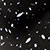 Black Fleck